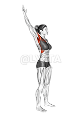 Álló Egykarú körözés demonstration