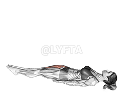 Lying Single Leg Raise demonstration