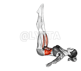 Jambe couchée levée sur le côté demonstration