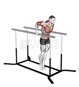 Thumbnail for the video of exercise: कुहिनो डुब्न