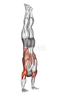 Presse Stalder demonstration