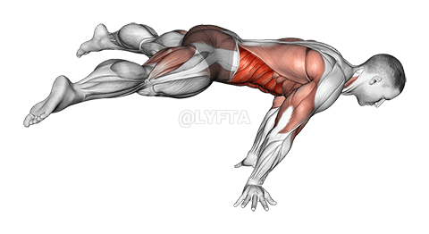 Straddle planche demonstration