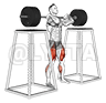Thumbnail for the video of exercise: Barbell Front Squat