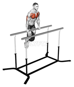 Thumbnail for the video of exercise: Weighted Straight Bar Dip