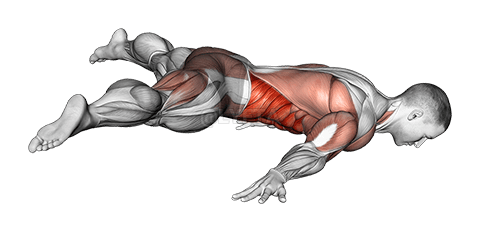 Thumbnail for the video of exercise: Straddle Maltees