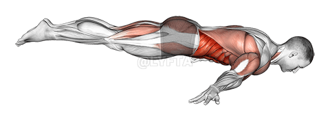 Ful Mɔltiz demonstration