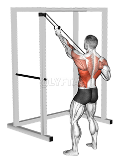 ट्विस्ट के साथ बैंड अल्टरनेट लैट पुलडाउन demonstration