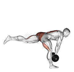 ڊمبل سنگل سخت ٽنگ ڊيڊ لفٽ demonstration