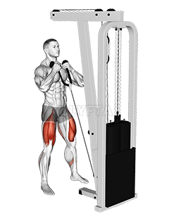 Sentadilla frontal con cable demonstration