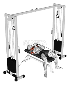 Thumbnail for the video of exercise: केबल लिङ क्लोज प्रेस