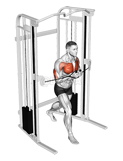 ケーブルスタンディングクローズプレス demonstration