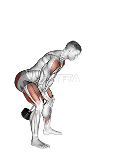 Balançoire avec haltères demonstration