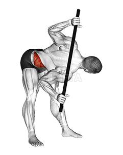 ट्विस्ट माथि झुके demonstration