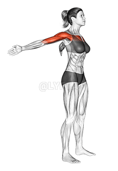 Stehender Phelps demonstration