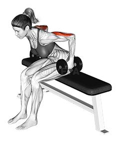 Дамббелл дээр суусан цохилт demonstration