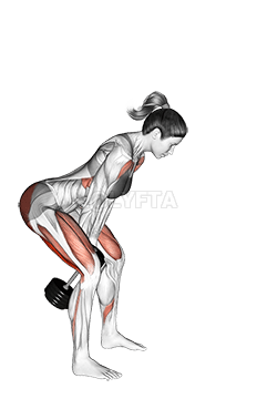 Thumbnail for the video of exercise: Halter Swaai