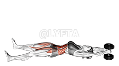 डम्बल वी-अप demonstration