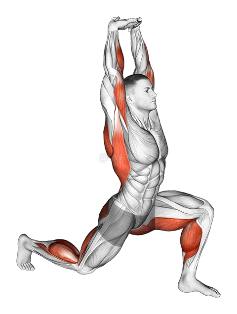 Thumbnail for the video of exercise: Warming-up in Lunge