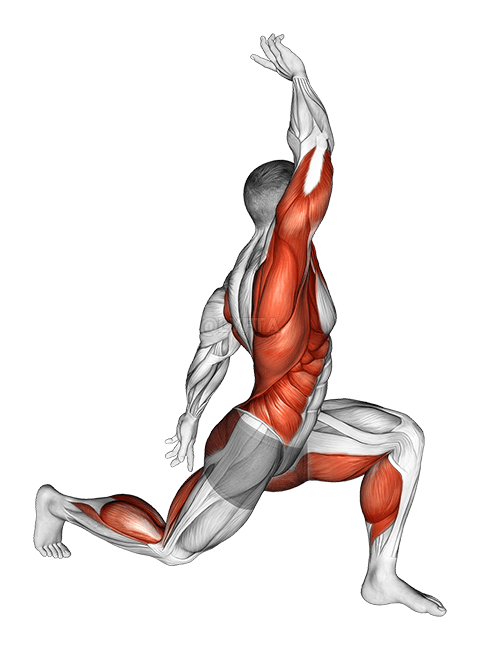 Ua kom sov hauv Lunge demonstration