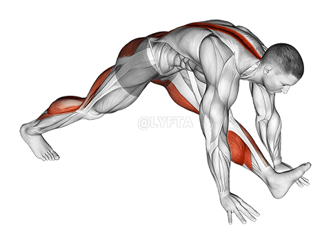 Shtrirja e kërpudhave të përparme demonstration