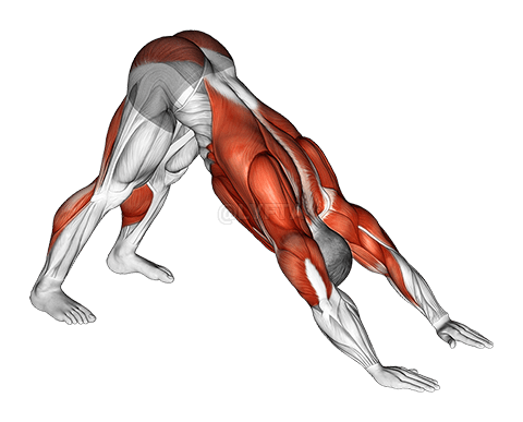 Alayaru Uñkatata Allqamari demonstration