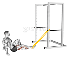 저항 밴드 시트 싱글 레그 컬 demonstration