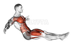 地板上脆脆的青蛙 demonstration