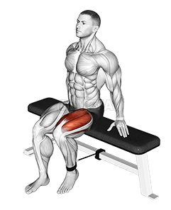 Band Oturmuş Ayaq Uzatması demonstration