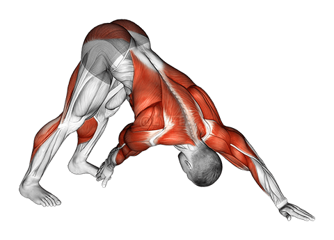 Thumbnail for the video of exercise: Downward Facing Dog Toe Touch