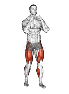 Boxer Shuffle demonstration