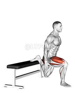 Bulgarian Split Squat demonstration