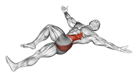 卧式 T 型脊柱活动性伸展 demonstration