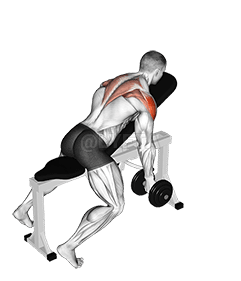 Dumbbell Incline T-Raise demonstration