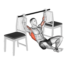 Thumbnail for the video of exercise: Seated Pull-up between Chairs