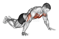 Thumbnail for the video of exercise: Kneeling Wide Hand Push-Up
