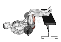 Barbell Glute Bridge Duas Pernas no Banco demonstration