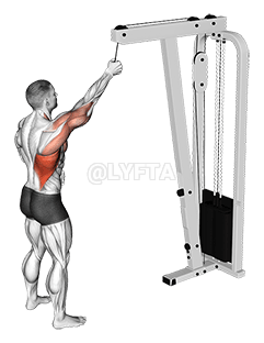 케이블 원 암 풀다운 demonstration