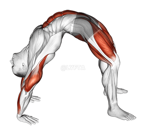 Puente Pose Yoga ukax mä juk’a pachanakanwa demonstration