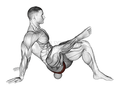 Libération du piriforme de la boule roulante demonstration