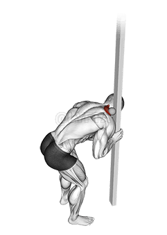 የጥቅልል ኳስ የላይኛው ትራፔዚየስ ልቀት demonstration