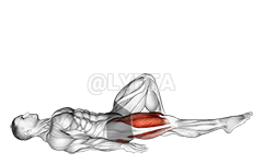 Single Leg Bridge with Hip Flexion demonstration