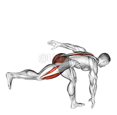 Deadlift de perna única com elevação de joelho demonstration