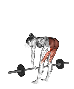 Kreuzheben mit gestrecktem Bein und Langhantel demonstration