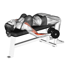 덤벨 라잉 수파인 컬 demonstration