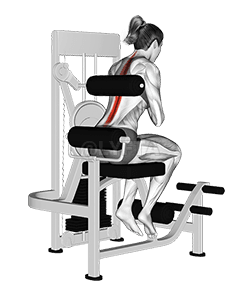 ផ្នែកបន្ថែម Lever Back demonstration