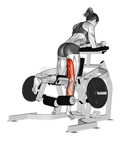 Сгибание ног на коленях с рычагом demonstration