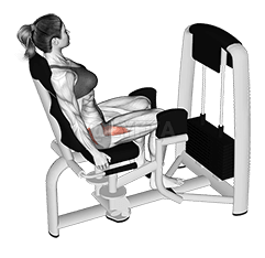 Palanca Qunt’atäki uka Cadera Abducción demonstration