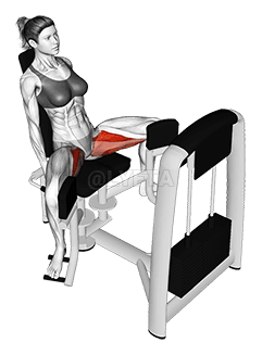 लिभर सिटेड हिप एडक्शन demonstration