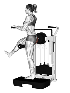 Páka stojící zadní kop demonstration