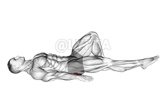 腿伸直的单腿桥 demonstration